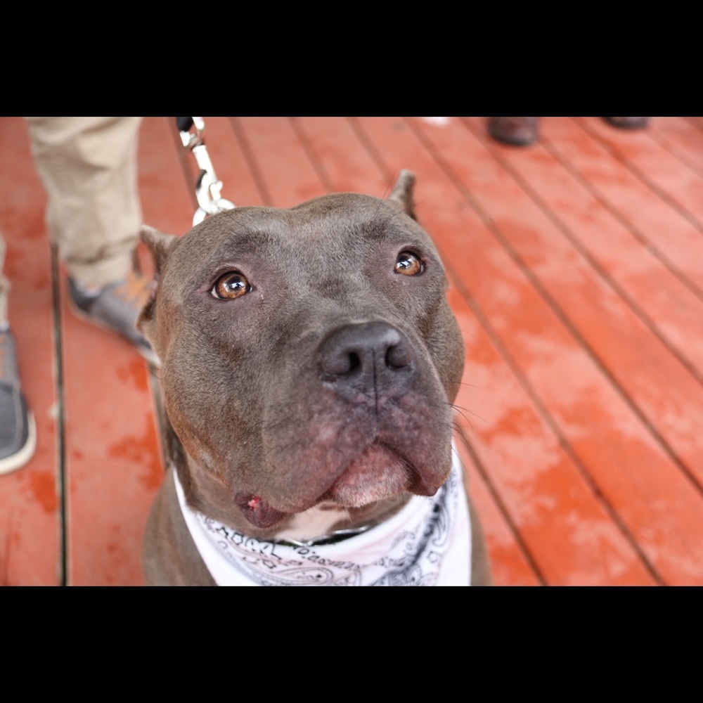 Meet your Posher, Jordan